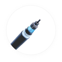 INSTRUMENTATION CABLES